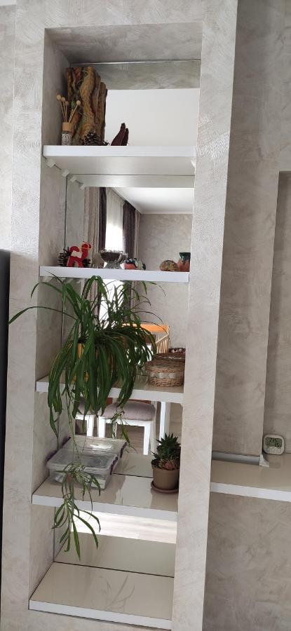 Apartment In The Karakol Heart Buitenkant foto